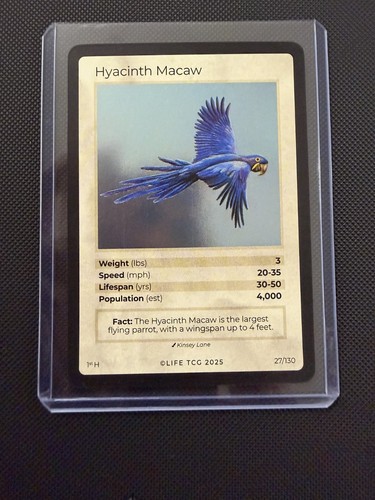 Life tcg hyacinth - hyacinth, macaw