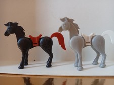 SUPERCHARLY DULCOP - Cavalli