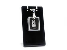 Cane Lupo Cecoslovacco -