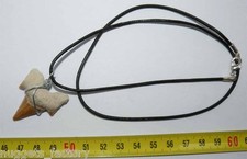 Collana pendente dente - collana,