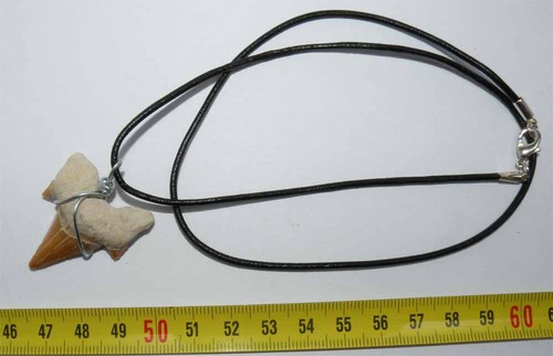 Collana pendente dente - collana,