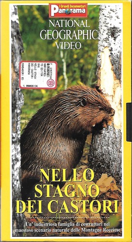 Nello stagno dei - nello,