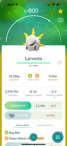 Larvesta lucente de - lucente, tr-de