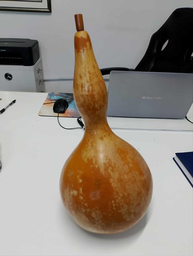 Antica zucca borraccia grande - antica,