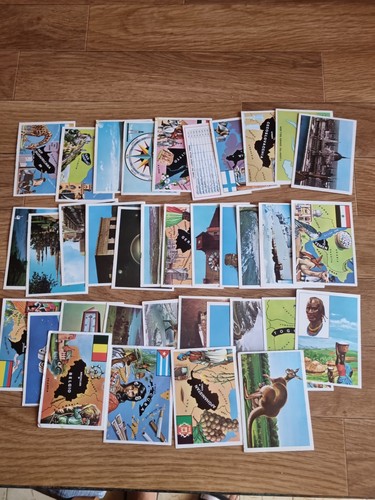 Terra panini lotto 36 - terra,
