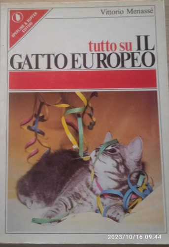 Tutto gatto europeo - gatto,