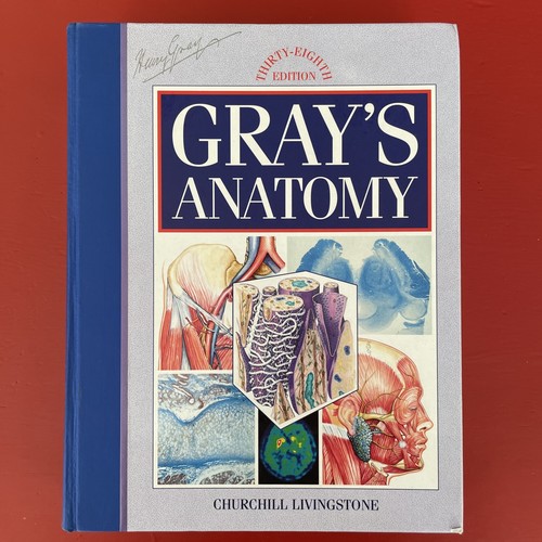 Gray anatomy the anatomical - gray's, anatomy:
