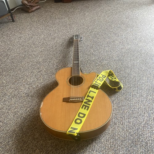 Chitarra acustica elettrica