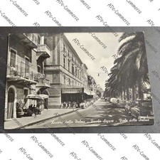 Cartolina Riviera delle Palme