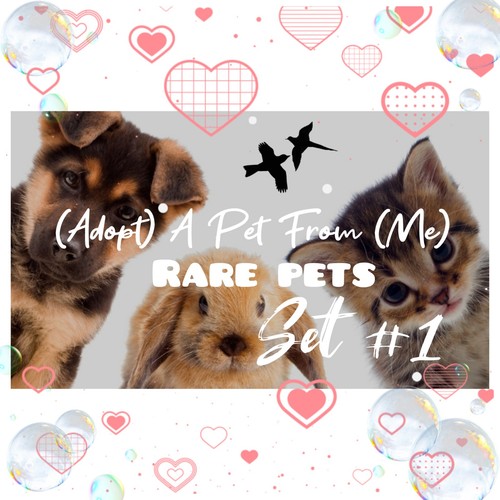 Adopt today - (all,