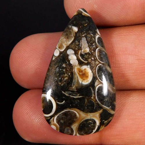 Cabochon pera fossile - di,