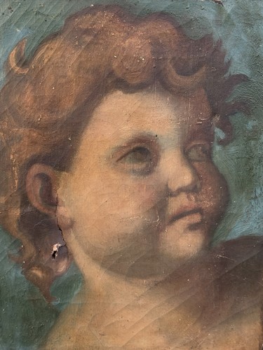 Ritratto putto angelo - -, olio