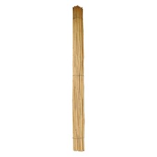 CANNA BAMBU' Ø 24/26 mm