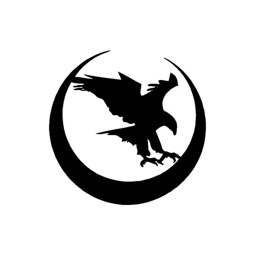 Nighthawk custom vinyl decal - nighthawk,