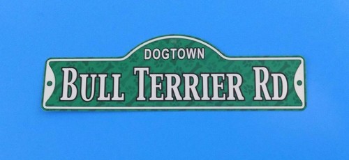 Dogtown bull terrier - terrier, ~