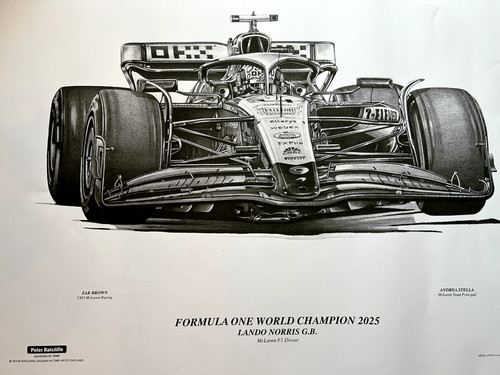 Lando norris 2025 campione - lando,