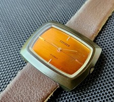 Citizen carica manuale 21