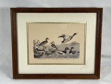 ATQ Alexander Wilson FOLIO