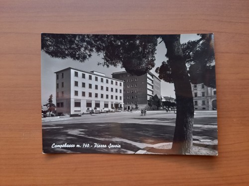 Campobasso piazza savoia - -,