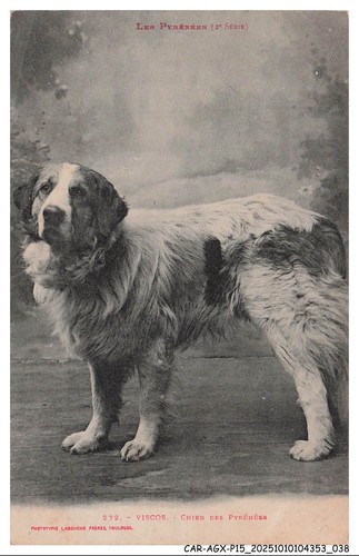 Car agxp15 0746 viscos - car-agxp15-0746-65,