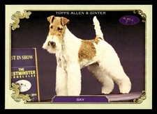 2024 Topps Allen & Ginter