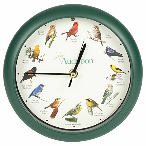 Audubon society singing bird - society,