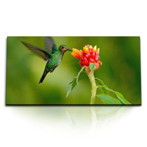 Quadri stampa artistica - , 120x80