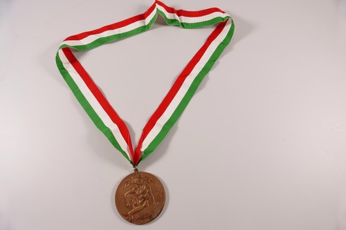 Medaglia bronzo campionati - medaglia,