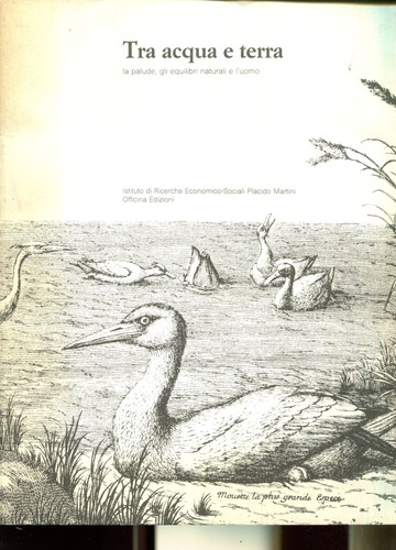 Tra acqua terra - terra, palude