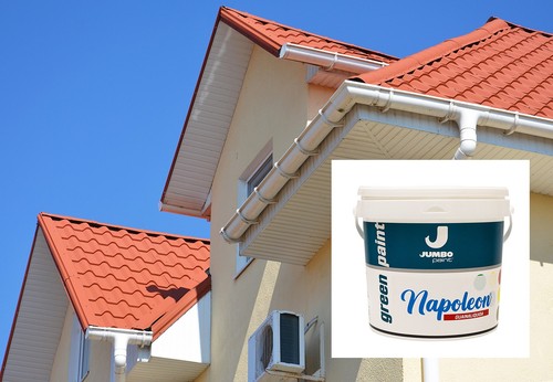 Guaina liquida - guaina,