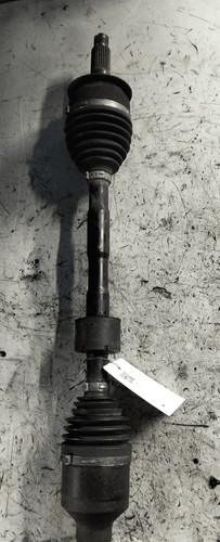 71747566 semialbero ant - semialbero,
