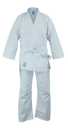 Fisticuffs kids karate aikido - karate,
