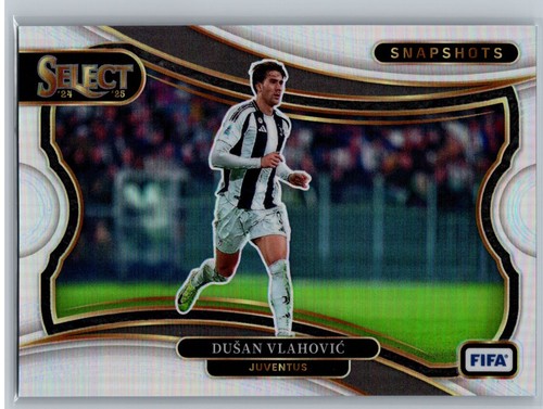 2024 panini seleziona - seleziona, fifa