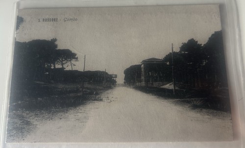 Cartolina san rossore gombo - san,