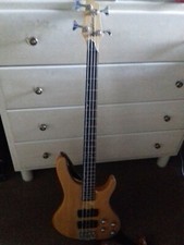 Basso Elettrico WASHBURN