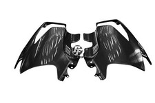 Carena laterale in carbonio