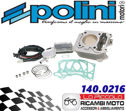 140 0216 polini - 140.0216, gruppo