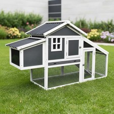 Pollaio pollaio pollaio stalla