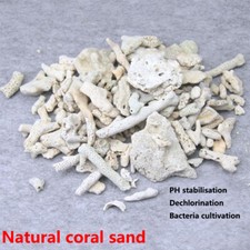 Pietra osso di corallo