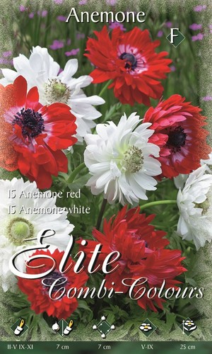 Bulbi autunnali anemone - bulbi,