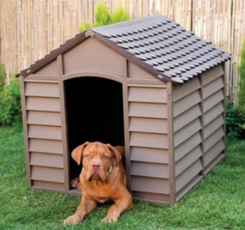 Dog kennel cuccia - kennel,