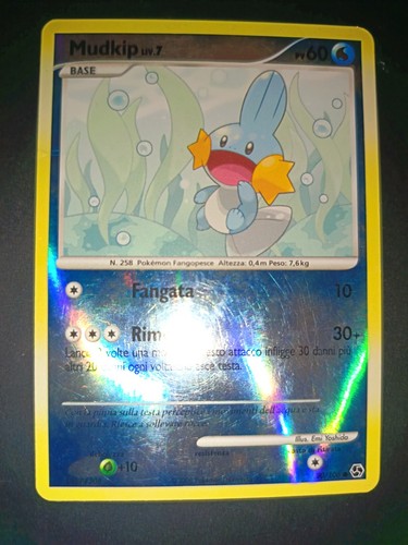Carta pokemon mudkip - 💫carta,