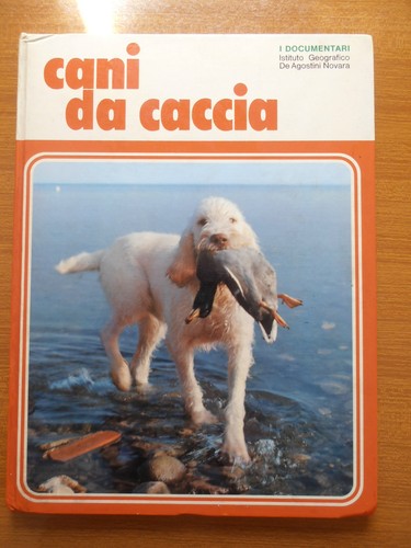 Cani caccia razza ferma - cani, da
