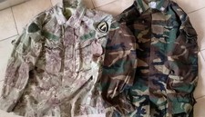 N.2 GIACCHE MIMETICHE E.I