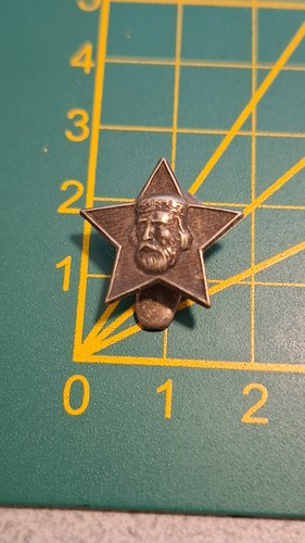 Distintivo pin spilla - pin,