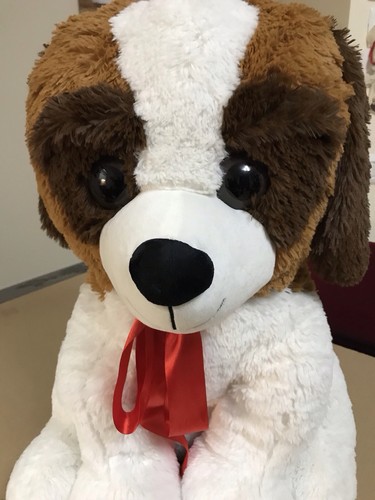 Peluche san bernardo gigante - peluche,