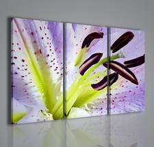 QUADRO MODERNO CLOSE UP QUADRI MODERNI ARREDAMENTO FIORE FLOWER ARREDARE CASA