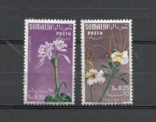 Somalia afis 1959 - afis,, fiori