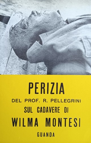 Pellegrini rinaldo caso - rinaldo,