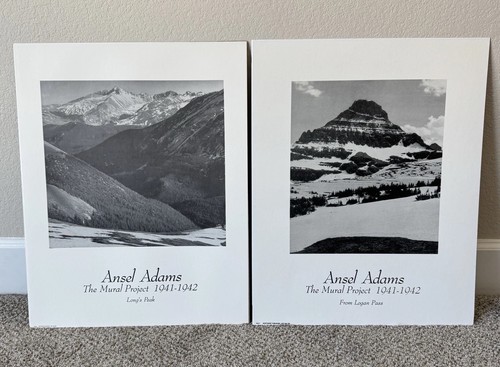 Ansel adams progetto - il, murale